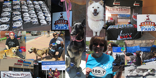 Cause-For-Paws-2015_collage1 - Copy