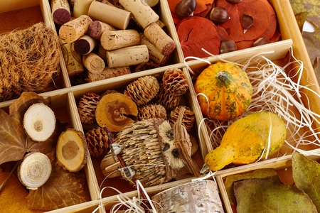 48429825 - autumn decoration accessories stored in a wooden compartment.